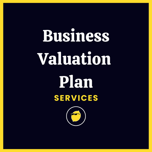 Business Valuation Plan